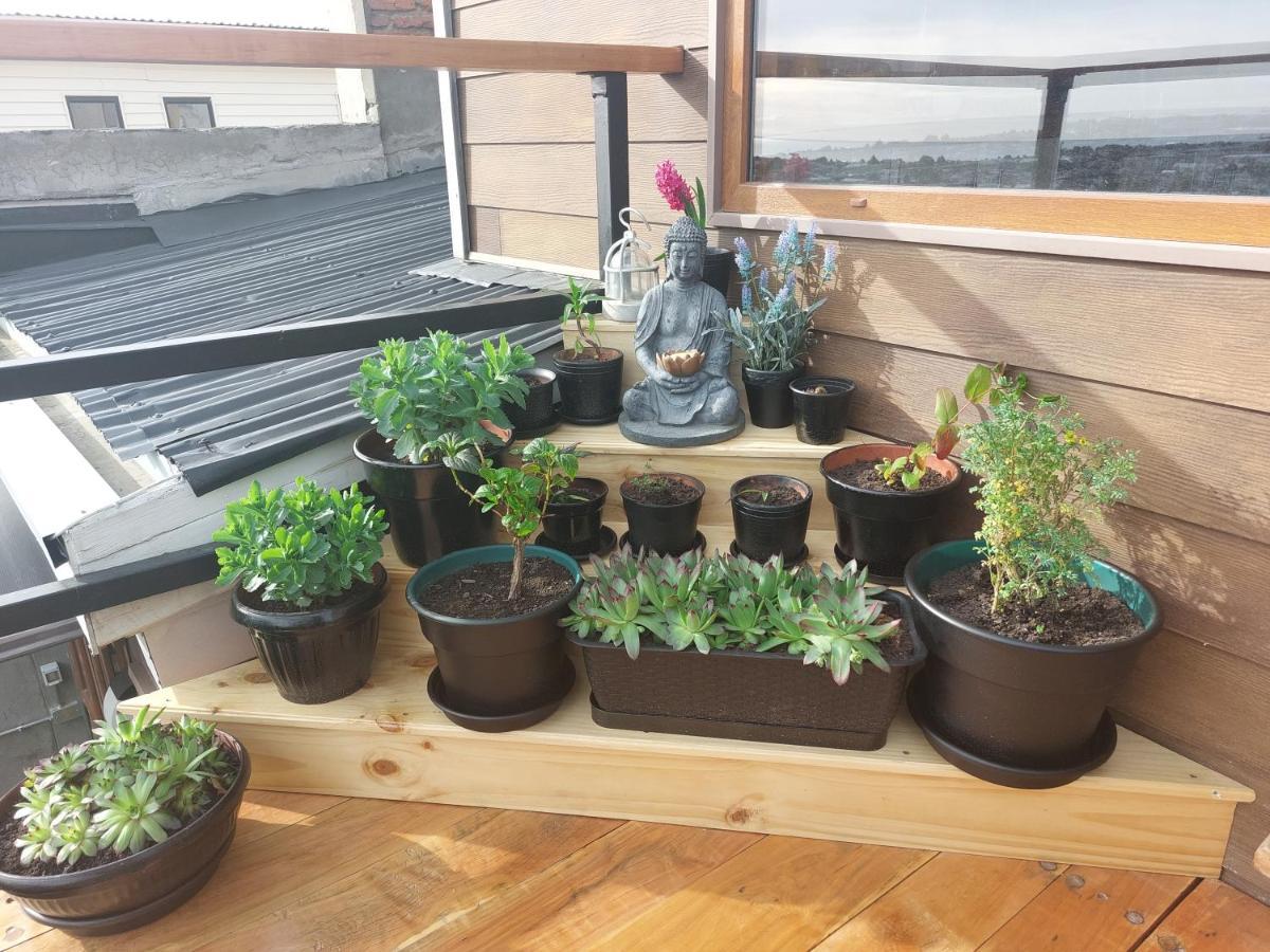 Hostal Buenavista Patagonia Punta Arenas Zewnętrze zdjęcie