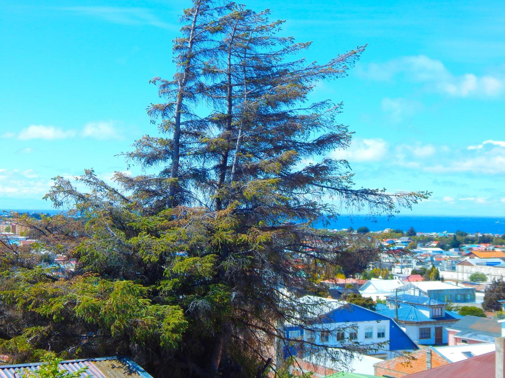 Hostal Buenavista Patagonia Punta Arenas Zewnętrze zdjęcie